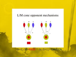 (S+L)-M=RED
+ -
M-(S+L)=GREEN
 