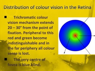  Trichromatic colour
vision mechanism extends
20 – 30° from the point of
fixation. Peripheral to this
red and green become
indistinguishable and in
the far periphery all colour
sense is lost.
 The very centre of
fovea is blue blind.
 