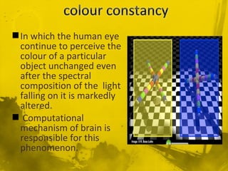 In which the human eye
continue to perceive the
colour of a particular
object unchanged even
after the spectral
composition of the light
falling on it is markedly
altered.
 Computational
mechanism of brain is
responsible for this
phenomenon.
 