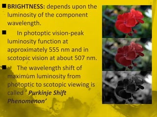 BRIGHTNESS: depends upon the
luminosity of the component
wavelength.
 In photoptic vision-peak
luminosity function at
approximately 555 nm and in
scotopic vision at about 507 nm.
 The wavelength shift of
maximum luminosity from
photoptic to scotopic viewing is
called ‘ Purkinje Shift
Phenomenon’
 