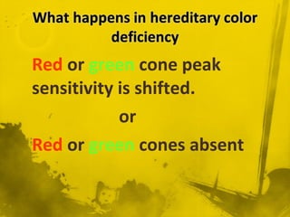 Red or green cone peak
sensitivity is shifted.
or
Red or green cones absent
 