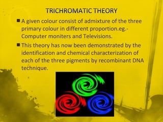  A given colour consist of admixture of the three
primary colour in different proportion.eg.-
Computer moniters and Televisions.
 This theory has now been demonstrated by the
identification and chemical characterization of
each of the three pigments by recombinant DNA
technique.
 