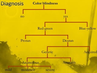 Color blindness
no yes
Red-green Blue-yellow
Protan Deutan
Genetic Acquired
Anamolous Anamoly
mild moderate severe
 