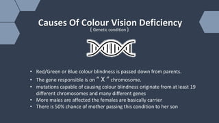 Colour Vison Deficency (CVD) | PPT