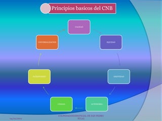 Principios basicos del CNB


                                                CALIDAD




                 UNIVERSALIZACION                                       EQUIDAD




             PATICIPACION                                                    IDENTIDAD




                                    UNIDAD                 AUTONOMIA




                                    COLPEDAGOGOSH(FILIAL DE SAN PEDRO
04/02/2012                                       SULA)
 