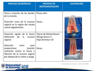 PROCESO QUIRÚRGICO PROCESO DE
INSTRUMENTACIÓN
ILUSTRACIÓN
Toma y tracción de los bordes
de la incisión.
Disección roma de la mucosa
vaginal en la región del meato
uretral digitalmente.
Pinzas allix.
Gasas.
Disección aguda de la fascia
adherente de la mucosa
vaginal.
Disección roma para
proporcionar tracción
suficiente contra la fascia y
liberarla de la mucosa vaginal
por debajo de la uretra y vejiga.
Tijeras de Metzembaum
Mango bisturí 3
Hoja de bisturí 10
Gasas.
Tomado de: http://www.scielo.org.bo/scielo.php?script=sci_arttext&pid=S1652-67762018000100007
 