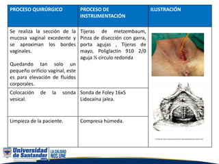 PROCESO QUIRÚRGICO PROCESO DE
INSTRUMENTACIÓN
ILUSTRACIÓN
Se realiza la sección de la
mucosa vaginal excedente y
se aproximan los bordes
vaginales.
Quedando tan solo un
pequeño orificio vaginal, este
es para elevación de fluidos
corporales.
Tijeras de metzembaum,
Pinza de disección con garra,
porta agujas , Tijeras de
mayo, Poliglactin 910 2/0
aguja ½ circulo redonda
Colocación de la sonda
vesical.
Sonda de Foley 16x5
Lidocaína jalea.
Limpieza de la paciente. Compresa húmeda.
Tomado de: https://www.yourpelvicfloor.org/media/colpocleisis-spanish.pdf
 