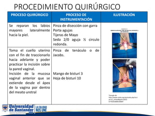 PROCEDIMIENTO QUIRÚRGICO
PROCESO QUIRÚRGICO PROCESO DE
INSTRUMENTACIÓN
ILUSTRACIÓN
Se reparan los labios
mayores lateralmente
hacia la piel.
Pinza de disección con garra
Porta agujas
Tijeras de Mayo
Seda 2/0 aguja ½ circulo
redonda.
Toma el cuello uterino
con el fin de traccionarlo
hacia adelante y poder
practicar la incisión sobre
la pared vaginal.
Incisión de la mucosa
vaginal anterior que se
extiende desde el ápex
de la vagina por dentro
del meato uretral
Pinza de tenáculo o de
Jacobs.
Mango de bisturí 3
Hoja de bisturí 10
Tomado de:
http://www.scielo.org.bo/scielo.php?scri
pt=sci_arttext&pid=S1652-
67762018000100007
 