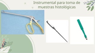 Comprehensive Guide to Colposcopy: Instruments, Techniques, and ...