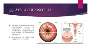 ¿Qué ES LA COLPOSCOPIA?
 Identifica las lesiones cervicales
intraepiteliales, conocer su
localización, extensión y
características y dirigir la biopsia
para obtener la confirmación
diagnóstica
 Generalmente se realiza entre
los periodos menstruales.
 