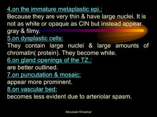 4.on the immature metaplastic epi.:
Because they are very thin & have large nuclei. It is
not as white or opaque as CIN but instead appear
gray & filmy.
5.on dysplastic cells:
They contain large nuclei & large amounts of
chromatin( protein). They become white.
6.on gland openings of the TZ.:
are better outlined.
7.on puncutation & mosaic:
appear more prominent.
8.on vascular bed:
becomes less evident due to arteriolar spasm.
Aboubakr Elnashar
 