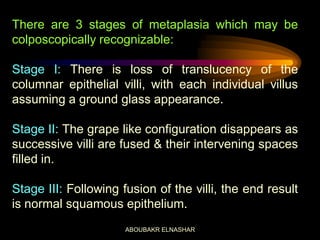 Normal colposcopic Findings | PDF