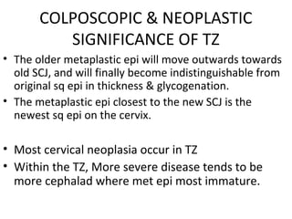 COLPOSCOPIC & NEOPLASTIC
SIGNIFICANCE OF TZ
• The older metaplastic epi will move outwards towards
old SCJ, and will finally become indistinguishable from
original sq epi in thickness & glycogenation.
• The metaplastic epi closest to the new SCJ is the
newest sq epi on the cervix.

• Most cervical neoplasia occur in TZ
• Within the TZ, More severe disease tends to be
more cephalad where met epi most immature.

 
