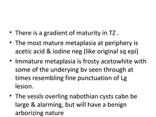 • There is a gradient of maturity in TZ .
• The most mature metaplasia at periphery is
acetic acid & iodine neg (like original sq epi)
• Immature metaplasia is frosty acetowhite with
some of the underying bv seen through at
times resembling fine punctuation of Lg
lesion.
• The vessls overling nabothian cysts cabn be
large & alarming, but will have a benign
arborizing nature

 