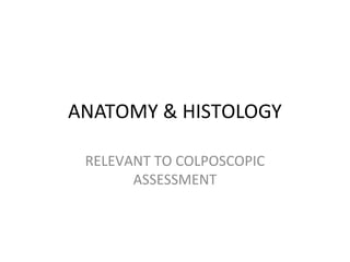 ANATOMY & HISTOLOGY
RELEVANT TO COLPOSCOPIC
ASSESSMENT

 