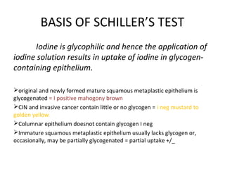 BASIS OF SCHILLER’S TEST
Iodine is glycophilic and hence the application of
iodine solution results in uptake of iodine in glycogencontaining epithelium.
original and newly formed mature squamous metaplastic epithelium is
glycogenated = I positive mahogony brown
CIN and invasive cancer contain little or no glycogen = i neg mustard to
golden yellow
Columnar epithelium doesnot contain glycogen I neg
Immature squamous metaplastic epithelium usually lacks glycogen or,
occasionally, may be partially glycogenated = partial uptake +/_

 