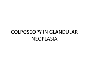 COLPOSCOPY IN GLANDULAR
NEOPLASIA

 