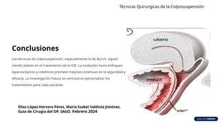Técnicas Quirúrgicas Avanzadas en Histerectomía y Colposuspensión para ...