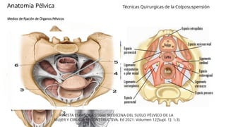 Técnicas Quirúrgicas Avanzadas en Histerectomía y Colposuspensión para ...