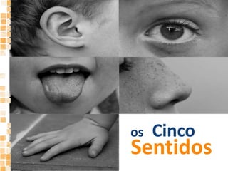 osCincoSentidos