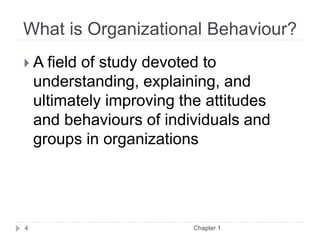 What is Organizational Behaviour?
 A field of study devoted to
understanding, explaining, and
ultimately improving the attitudes
and behaviours of individuals and
groups in organizations
Chapter 1
4
 
