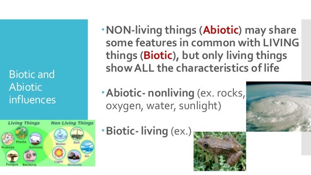 Characteristics Of Life 2 Characteristics Of Life 2