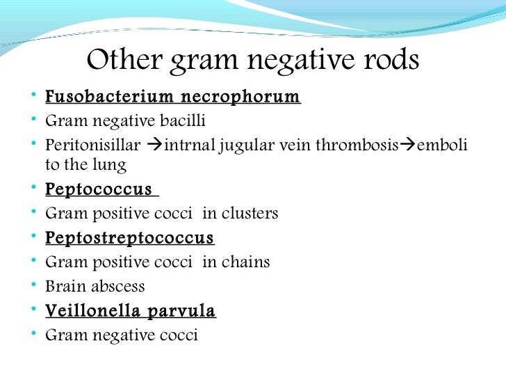 Gram Positive Pleomorphic Rods