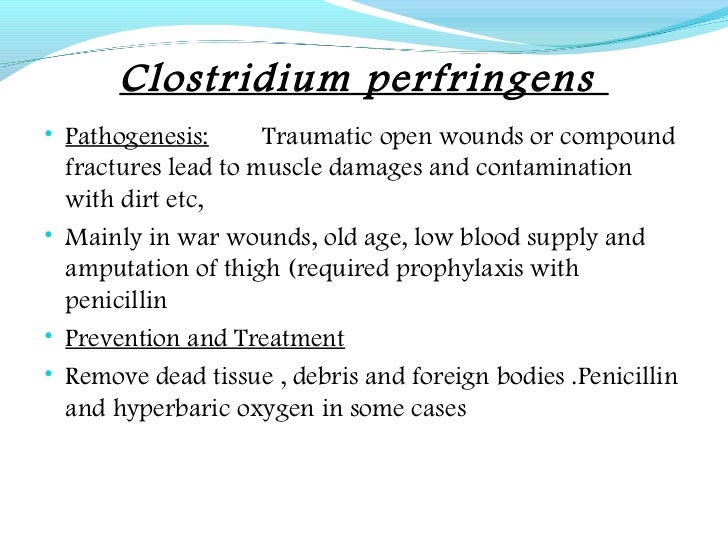 Colstridium