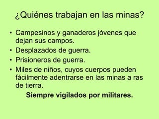 ¿Quiénes trabajan en las minas?
• Campesinos y ganaderos jóvenes que
dejan sus campos.
• Desplazados de guerra.
• Prisioneros de guerra.
• Miles de niños, cuyos cuerpos pueden
fácilmente adentrarse en las minas a ras
de tierra.
Siempre vigilados por militares.
 