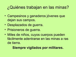 ¿Quiénes trabajan en las minas?
• Campesinos y ganaderos jóvenes que
  dejan sus campos.
• Desplazados de guerra.
• Prisioneros de guerra.
• Miles de niños, cuyos cuerpos pueden
  fácilmente adentrarse en las minas a ras
  de tierra.
      Siempre vigilados por militares.
 