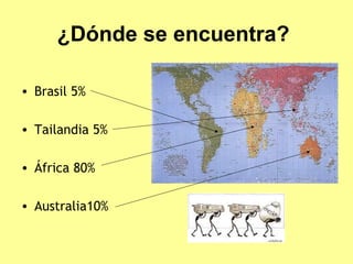 ¿Dónde se encuentra?

• Brasil 5%

• Tailandia 5%

• África 80%

• Australia10%
 