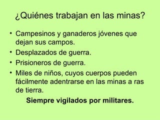 ¿Quiénes trabajan en las minas?
• Campesinos y ganaderos jóvenes que
  dejan sus campos.
• Desplazados de guerra.
• Prisioneros de guerra.
• Miles de niños, cuyos cuerpos pueden
  fácilmente adentrarse en las minas a ras
  de tierra.
      Siempre vigilados por militares.
 