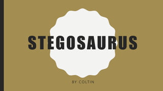 STEGOSAURUS
BY C O LT I N
 