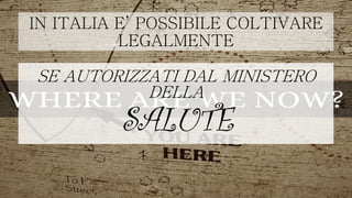 IN ITALIA E’ POSSIBILE COLTIVARE
LEGALMENTE
SE AUTORIZZATI DAL
MINISTERO DELLA
SANITA’
 