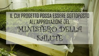 IL CUI PROGETTO POSSA ESSERE SOTTOPOSTO
ALL’APPROVAZIONE DEL
MINISTERO DELLA
SANITA’
 