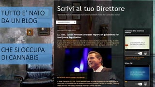 TUTTO E’ NATO
DA UN BLOG
CHE SI OCCUPA
DI CANNABIS
 