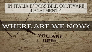 IN ITALIA E’ POSSIBILE COLTIVARE
LEGALMENTE
 