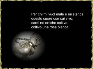 Olio protettivo universale per catena SLIP SINTH - Agri Service