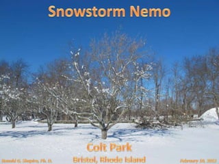Colt State Park, Bristol Rhode Island after Nemo Snowstorm on February 10, 2013