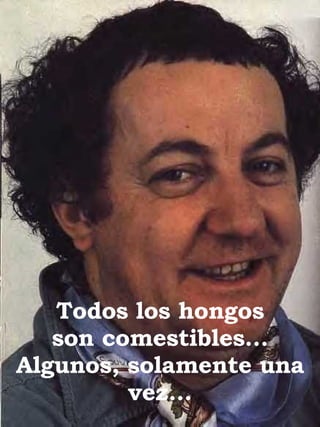 Todos los hongos son comestibles… Algunos, solamente una vez.. . 