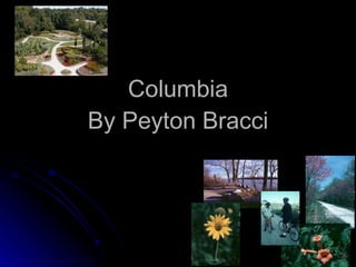 Columbia By Peyton Bracci 