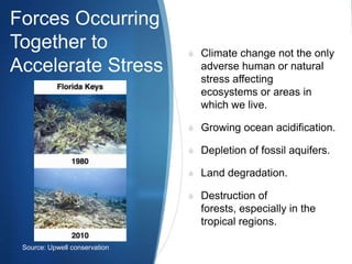 Forces Occurring
Together to
Accelerate Stress
S Climate change not the only
adverse human or natural
stress affecting
ecosystems or areas in
which we live.
S Growing ocean acidification.
S Depletion of fossil aquifers.
S Land degradation.
S Destruction of
forests, especially in the
tropical regions.
Source: Upwell conservation
 