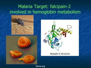 Malaria Target: falcipain-2  involved in hemoglobin metabolism Dana.org 