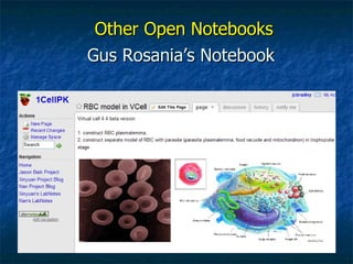 Gus Rosania’s Notebook Other Open Notebooks 