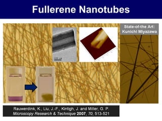 Fullerene Nanotubes 