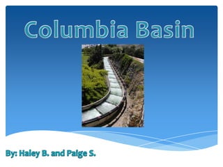 Columbia Basin By: Haley B. and Paige S. 