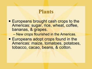 Plants Europeans brought cash crops to the Americas: sugar, rice, wheat, coffee, bananas, & grapes. New crops flourished in the Americas. Europeans adopt crops found in the Americas: maize, tomatoes, potatoes, tobacco, cacao, beans, & cotton. 