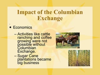 Impact of the Columbian Exchange . Economics Activities like cattle ranching and coffee growing were not possible without Columbian Exchange. Sugar Cane plantations became big business 