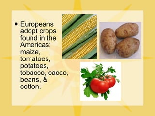 Europeans adopt crops found in the Americas: maize, tomatoes, potatoes, tobacco, cacao, beans, & cotton. 