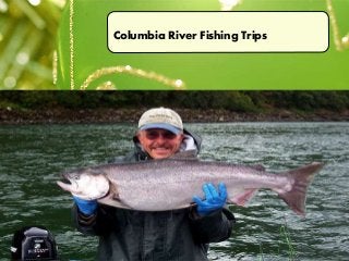 Columbia River Fishing Trips
 